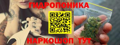 PSILOCYBIN Обнинск