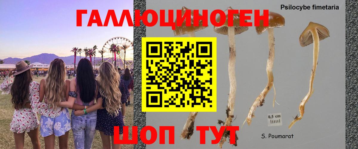 наркотики  Вход с VPN  Ханты-Мансийск  Галлюциногенные грибы GOLDEN TEACHER 